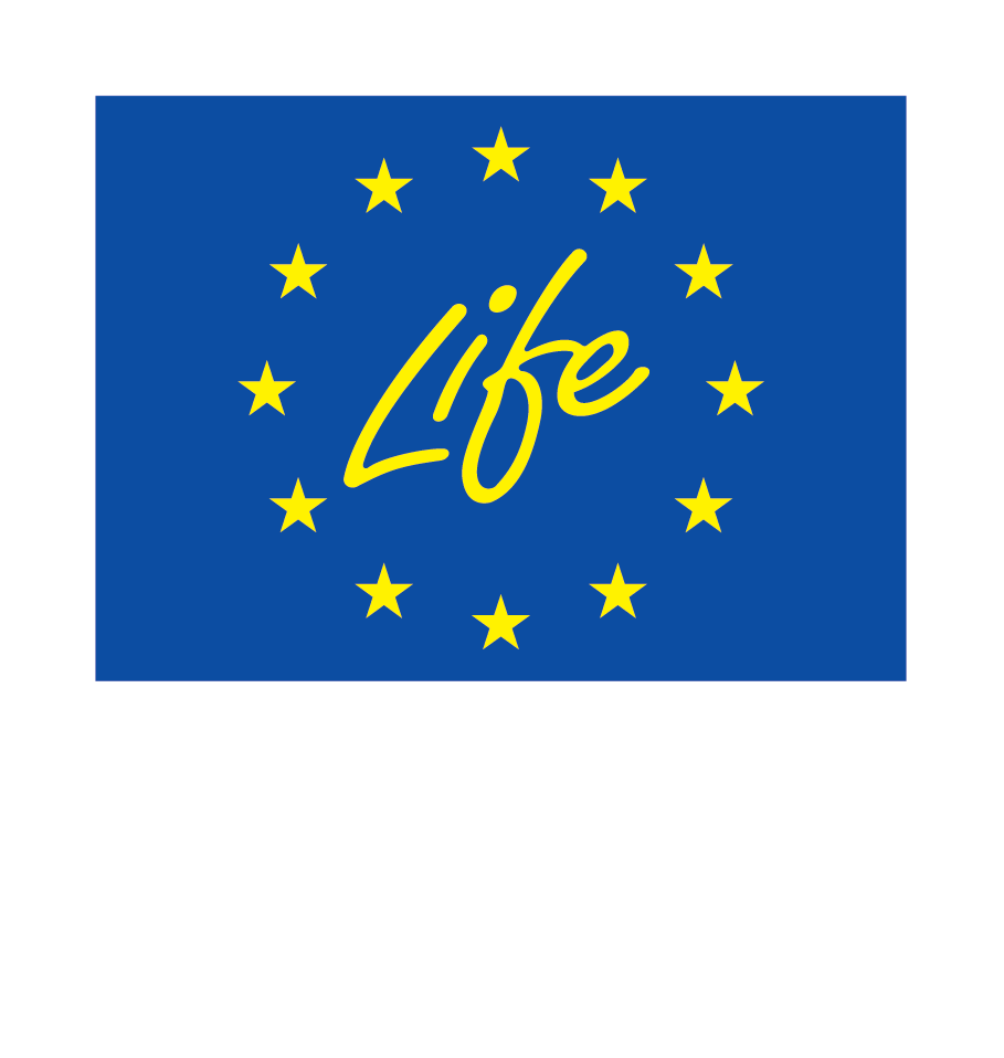 EU Logo