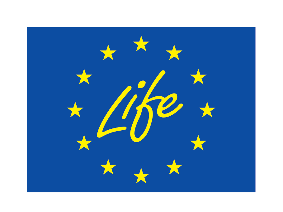 EN V Co-funded by the EU_POS